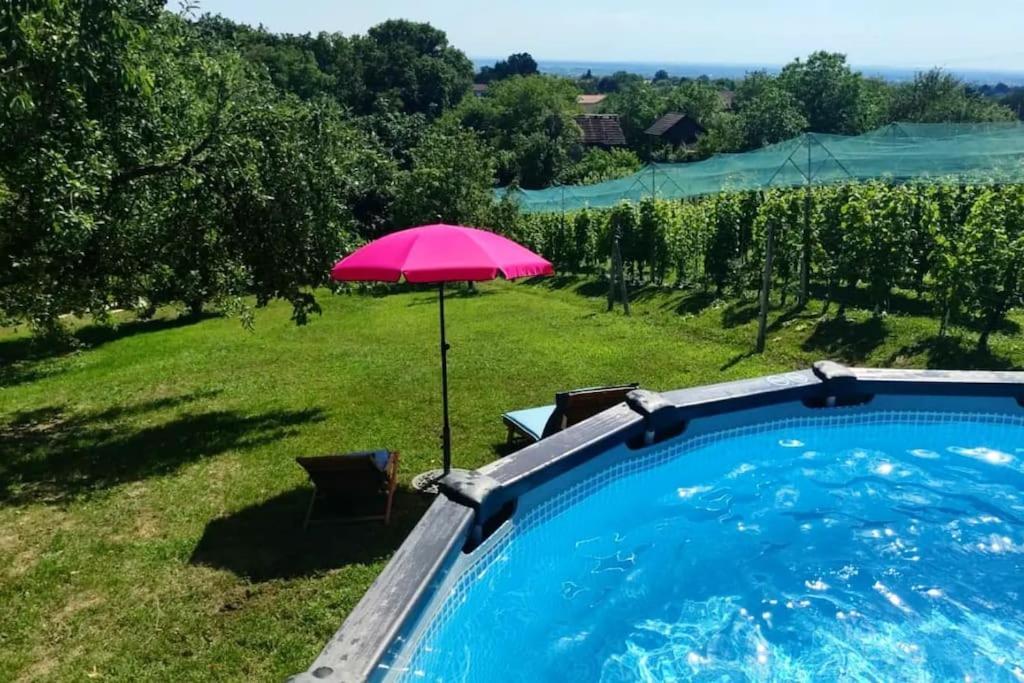 Kuca Za Odmor Villa Cesarica - Zagreb Graberje Ivanićko 外观 照片