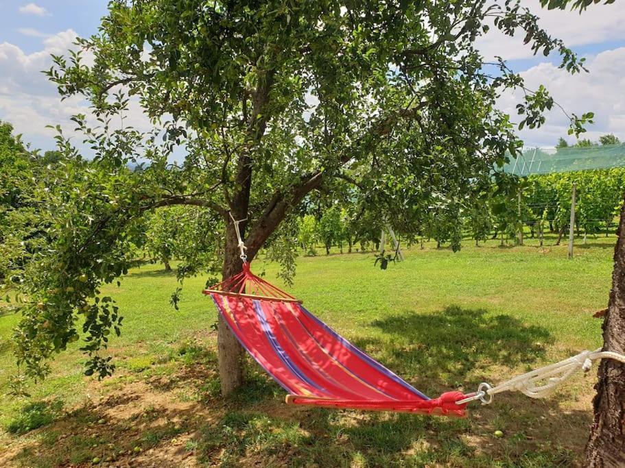Kuca Za Odmor Villa Cesarica - Zagreb Graberje Ivanićko 外观 照片